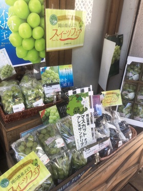 岡山県ぶどうコーナー