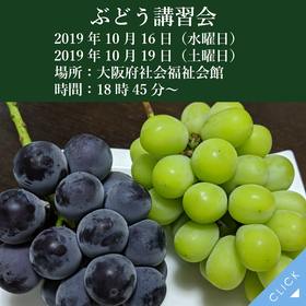 2019年ぶどう講習会