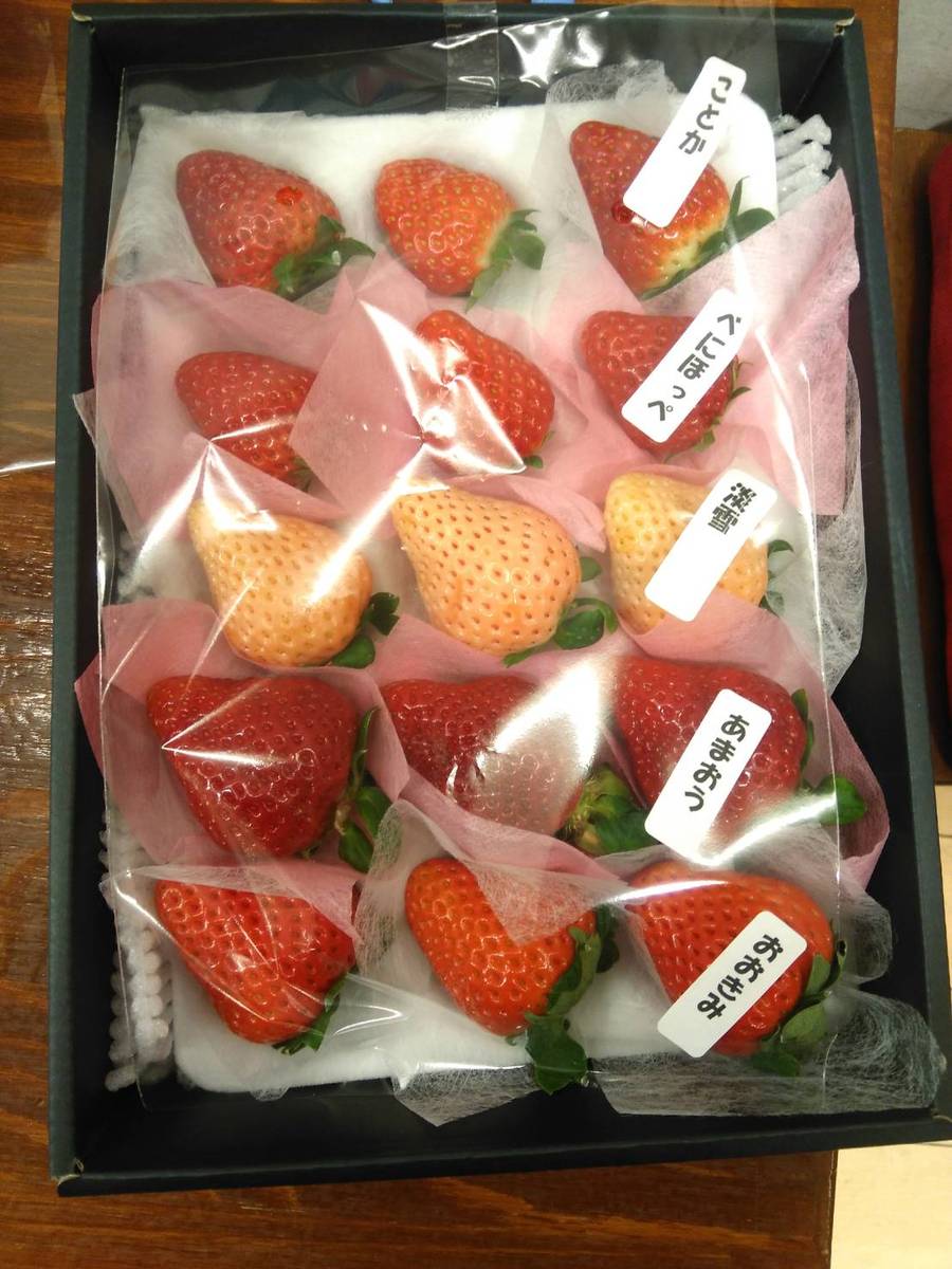 当店の食べ比べギフトシリーズ いちご が始まっています フルーツゼリーや高級ゼリー おいしいフルーツの通販 お店ではかき氷 スムージーなど 大阪の山口果物