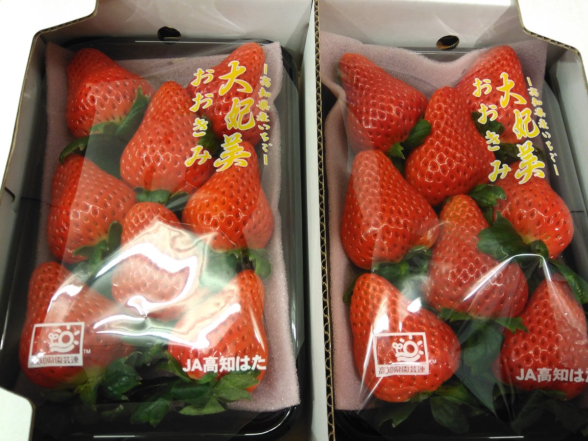 季節の果物 フルーツゼリーや高級ゼリー おいしいフルーツの通販 お店ではかき氷 スムージーなど 大阪の山口果物