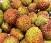 【本店】生ライチ妃子笑が入荷しました！のイメージ