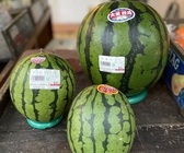 【本店】すいかのイメージ