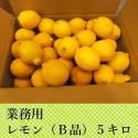 業務用　アメリカ産レモン(B品)5キロ　4,000円(税込)　Bar/居酒屋/仕入れ/業務用