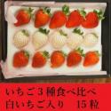 紅白いちご3種食べ比べセット(白イチゴ入り)　15粒　
