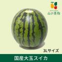 熊本県産　スイカ　1玉