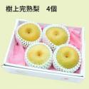 樹上完熟 梨 4個 期間限定 万福農園の梨  贈答用 プレゼント