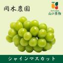 長野県岡木農園　シャインマスカット　信州須坂プレミアム