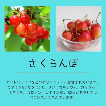 父の日ギフト フラワー&フルーツギフト 【さくらんぼ入り】