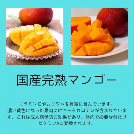 父の日ギフト フラワー&フルーツギフト 【国産完熟マンゴー入り】