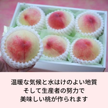 和歌山 あら川 桃6玉 ( お中元 御中元 中元 お盆 ギフト フルーツギフト 果物