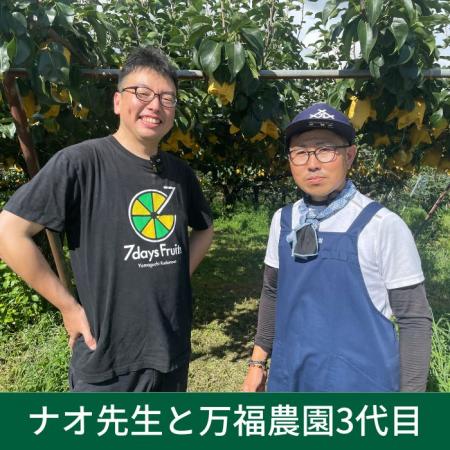 樹上完熟 梨 4個 期間限定 万福農園の梨  贈答用 プレゼント