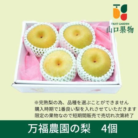 樹上完熟 梨 4個 期間限定 万福農園の梨  贈答用 プレゼント