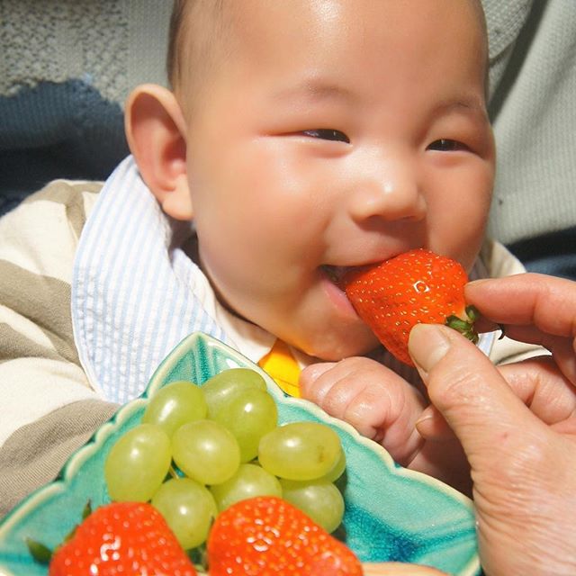 食育活動プロジェクト　3,000円