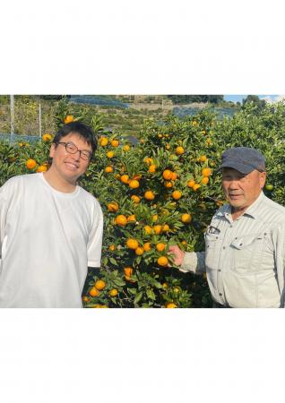 秘蜜みかん　和歌山県産　完熟訳アリみかん　10キロ　(自宅用、送料込)